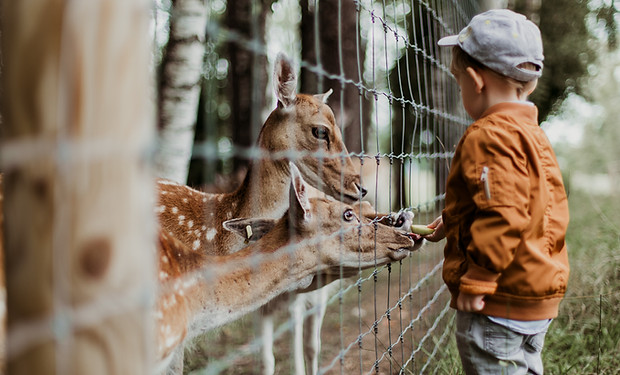 Image by Daiga Ellaby