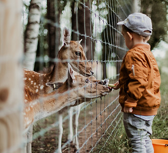 Zoo