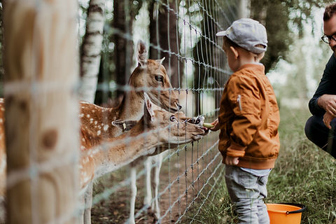 Image by Daiga Ellaby