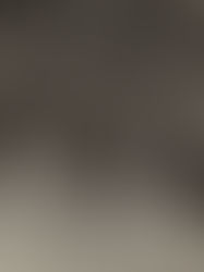 The Rise of Female Sexuality and Empowerment in Modern Media