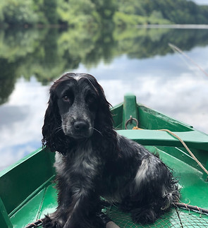 Image by John Cameron