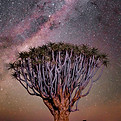 Image by Hc Digital