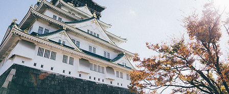 Osaka Private Group Walking Tour