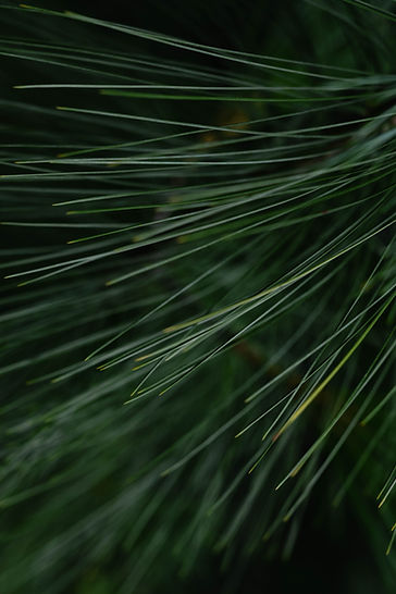 Image by matthew Feeney