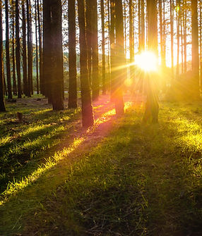 Image by Christian Buehner