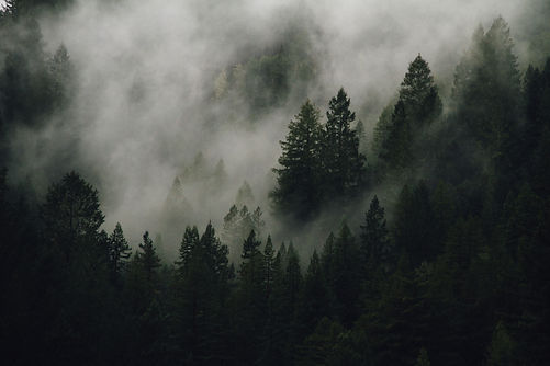 Image by Kyle Glenn