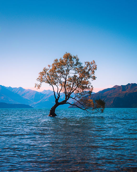 Image by Laura Smetsers