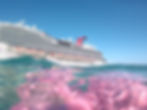 JCI USA Bahamas Cruise