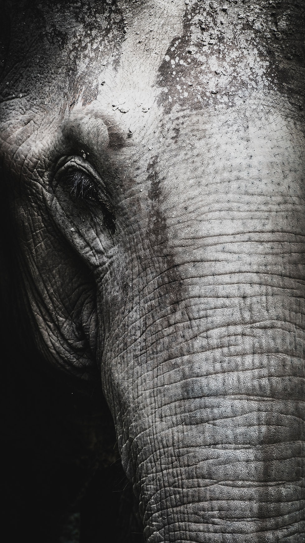 Image by Jack Hunter