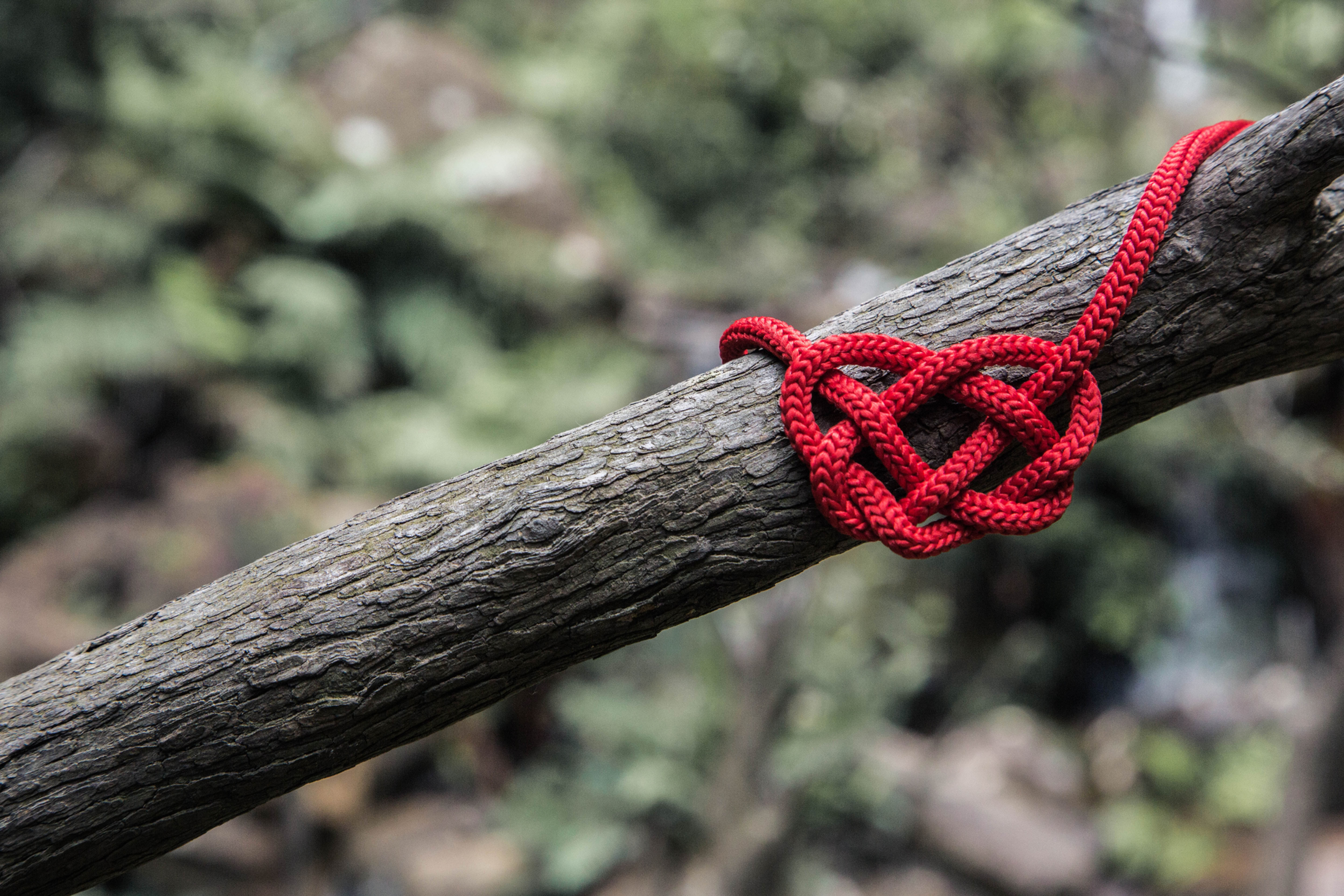 Untangling Our Hearts from the Knots of Our Wounds