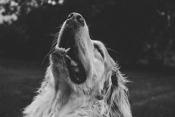 Image by Brooke Winters