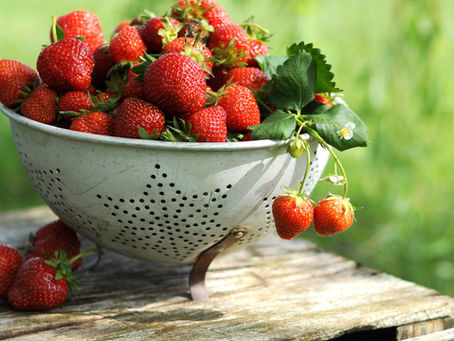 The Strawberry Obsession continues!