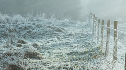 Planifier son jardin en hiver