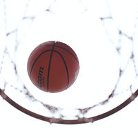 basketball net