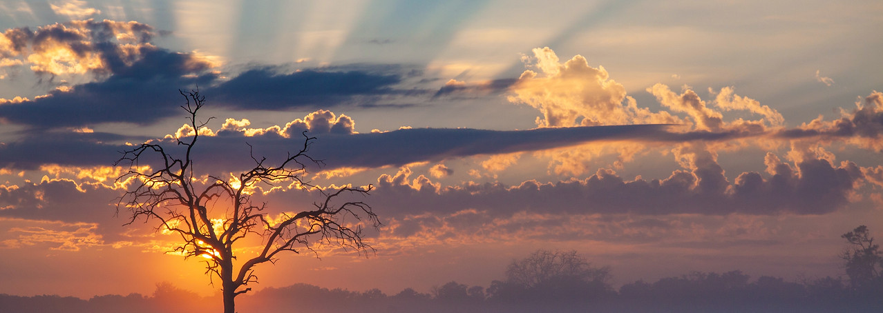 safari luxe au botswana