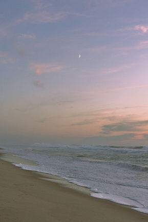 Image by Claudia Garcia