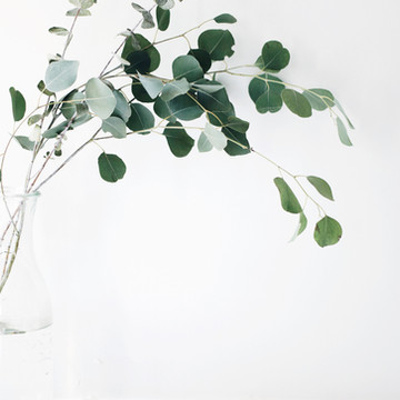Image by Jazmin Quaynor