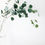 Miniaturbild: Eucalyptus baby blue sterilisiert