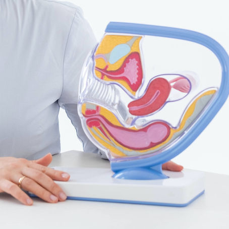 Vaginale gezondheid en terugkerende bacteriële vaginose uitgelegd vanuit flora, stress en darmgezondheid