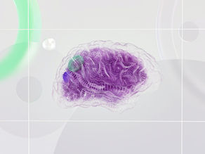 The Role of the Brain in Chronic Pain: How Somatic Movement Can Help Re-wire Neural Pathways
