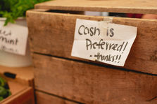 A handwritten sign on a wooden crate reads "Cash is preferred! -thanks!!" with some green plants visible in the background.
