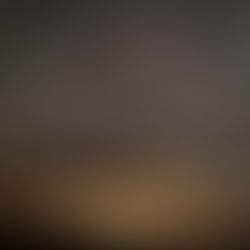 Shadow Maribrengaël -海王星魚座期の最後に-