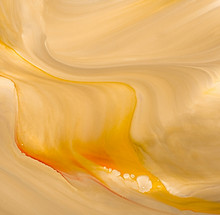 Image by Susan Wilkinson