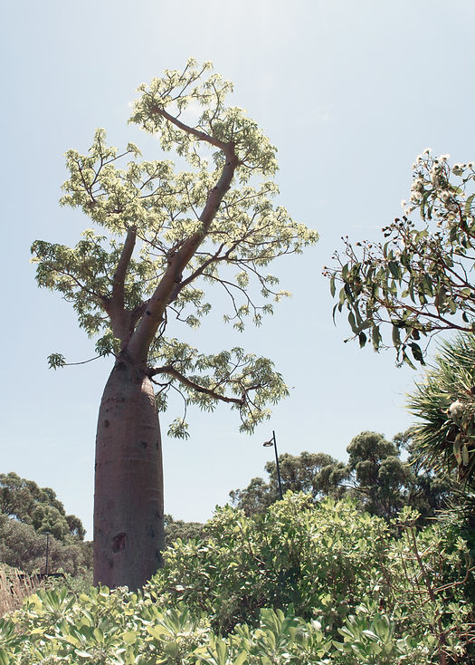 Image by Jannet Serhan