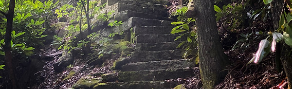 Stone steps leading upward through a natural setting, symbolising the gradual phases of EMDR therapy and the step-by-step healing process