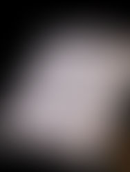 A book page that says 'The More Honest I Become, The More Healing Comes'