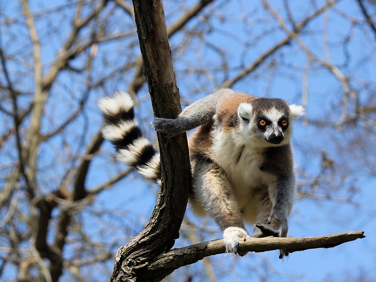 Image by Dušan Smetana