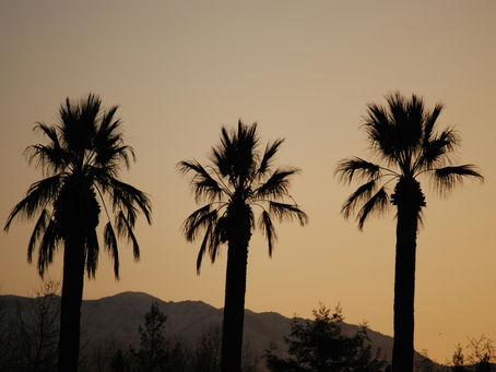 The Most Affordable City to Buy a Home in California? Porterville Is Around $325,000