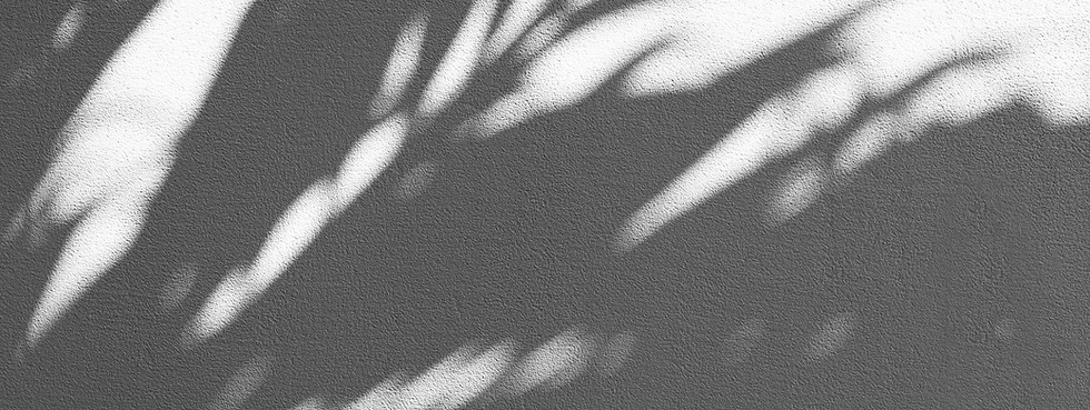 Image by Augustine Wong