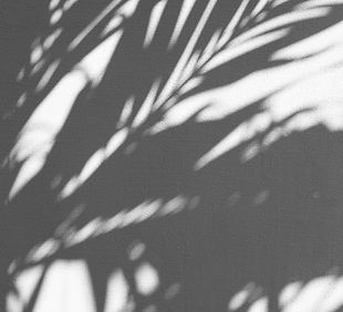 Image by Augustine Wong