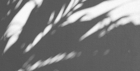 Image by Augustine Wong