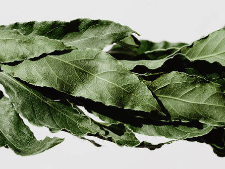 LAUREL: La corona de los campeones olímpicos, emperadores y deliciosas comidas