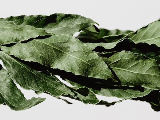 Crowned with Laurel Leaf
