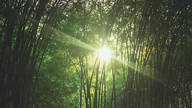 Image by Fauzan Saari
