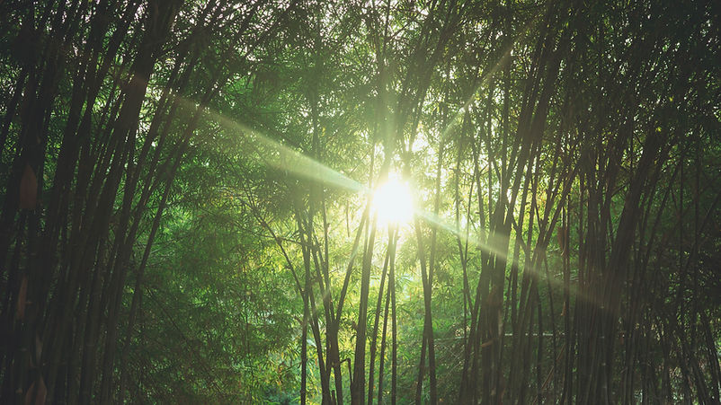 Image by Fauzan Saari