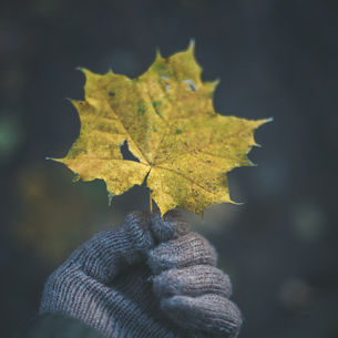 Fall is the Best Time to Service Your Heating System