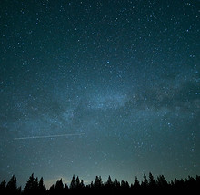 Image by Wil Stewart