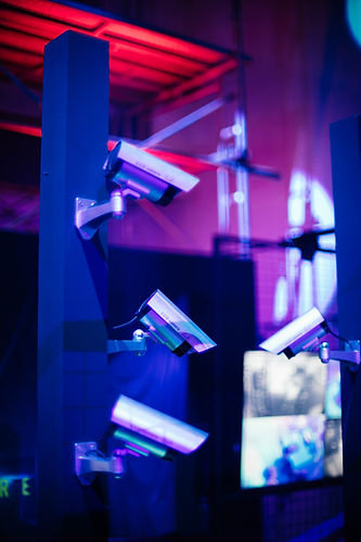 Image by CHUTTERSNAP