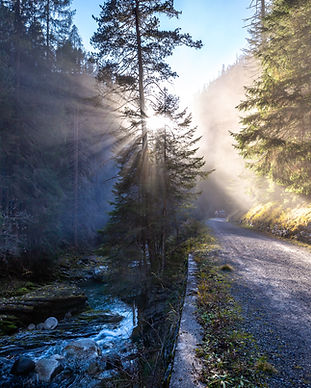 Image by Damian Markutt