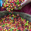 Thumbnail: Central American Decaf Blend