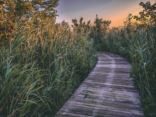 Image by Luc Bélanger