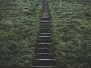 The Journey of Perseverance