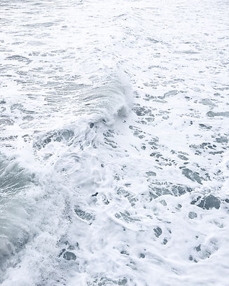 Image by elizabeth lies