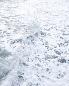 Image by elizabeth lies