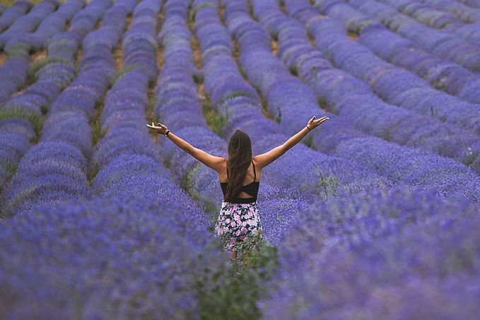 Image by Nikolay Hristov