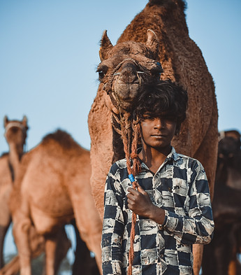 Portrait of a local boy with camels